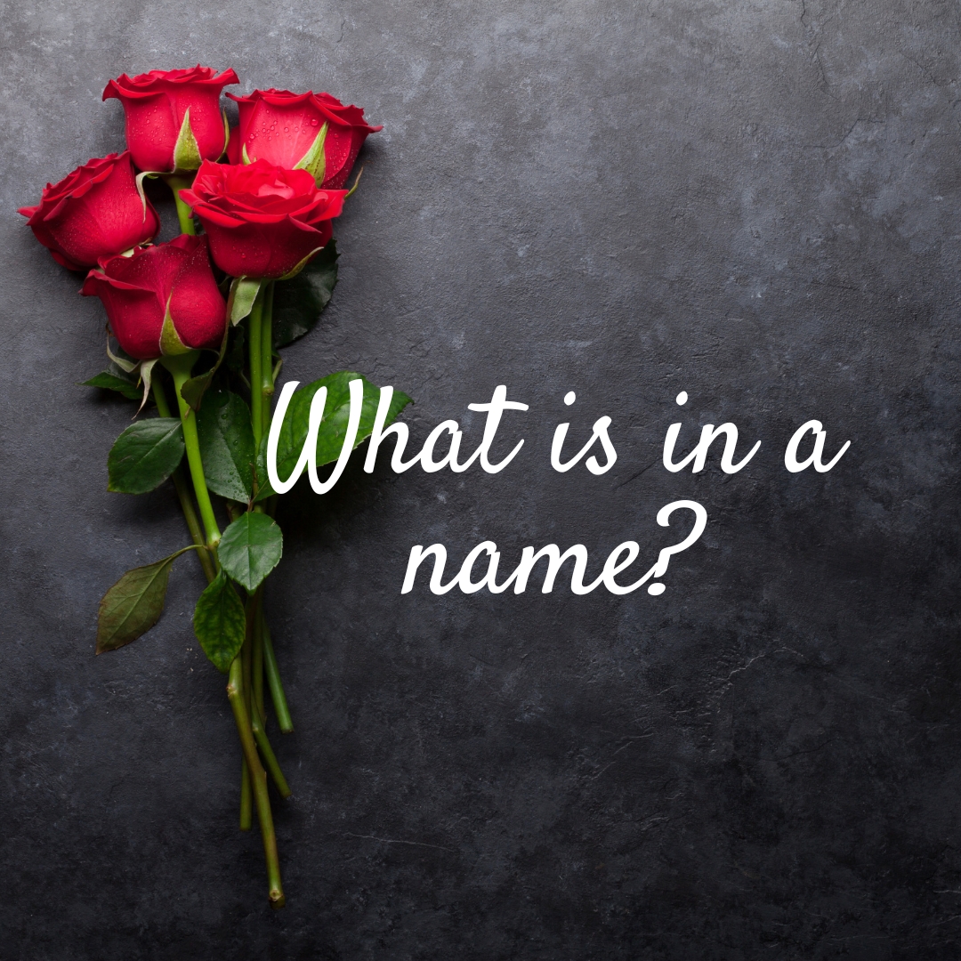 What is in a name. What should you consider when naming your brand